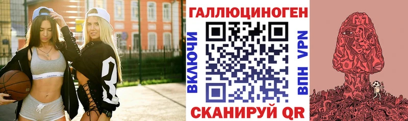 Купить закладки  Славгород  Псилоцибиновые грибы мицелий 